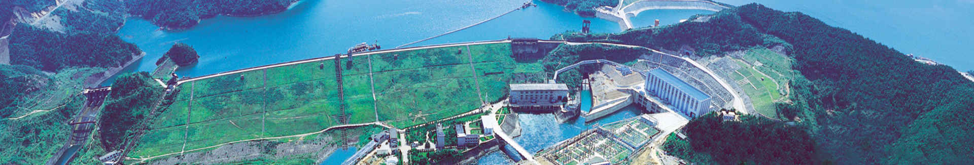 國內(nèi)市場